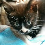 Kevin Stumpf - @k.stumpf2004 - Instagram