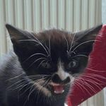 Kevin Stumpf - @stumpfi__kevkev_ - Instagram