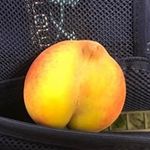 Kevin Stumpf - @kstumpf396 - Instagram