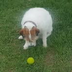 Kevin Swearson - Facebook