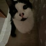 kevintash - @kevintash_ - Instagram