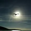 clotealkevin759 - @clotealkevin759 - TikTok