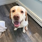Kevin Teeling - @kevinteeling - Instagram