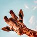 Kevin Terling - Facebook