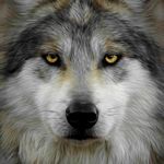 Kevin Templin - @templinkevinc - Instagram