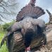 Kevin Testerman - Facebook