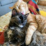 Kevin Theis - @kevin.theis.54 - Instagram