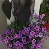 Kevin Theis - @kevintheis00 - TikTok