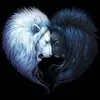Kevin Theis  - @_kevin_311004 - TikTok
