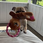 Kevin Theodore - @kevin.theodore.17 - Instagram
