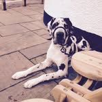 Kevin Thistlethwaite - @thistlethwaitekevin - Instagram