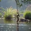 Ravikumar_Dunna - @kevin.thrailkill214 - TikTok