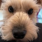 Kevin E. Tolley - @kevintolley - Instagram