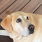 Kevin tolley - @kevintolley2 - Instagram