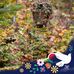 Kelvin Towett - Facebook