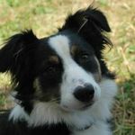 Kevin Towell - @towellkevin - Instagram