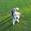 kevintowell11 - @kevintowell11 - TikTok