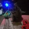 Kevin Troche - @kevin.troche65 - TikTok