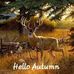 Kevin Tutt - Facebook