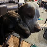 @kevin_tuttle - Instagram