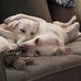 Kevin Dutton - Facebook