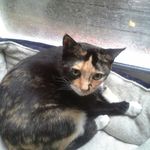 Kevin Updike - @kupdike2807 - Instagram