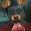 Kevin  Ribeiro  - @kevinvine - TikTok