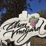 Kevin Olson Vineyard - @kevinolsonvineyards - Instagram
