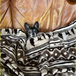 Kevin Violette - @johndidnotdde7orghis - Instagram