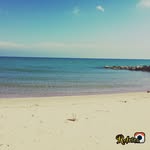 Kevin Vitale - @kevi_insta_00_ - Instagram