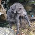 Kevin Wain - @sundancekid35 - Instagram