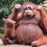 Kevin Wakefield - @bananapeel777 - Instagram