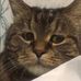 Kevin Waldschmidt - Facebook