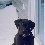 Kevin Walp - @kwalp18 - Instagram