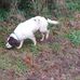 Kevin Walpole - Facebook