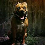 Kevin Walz - @walz.68 - Instagram