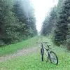 Kevin Walz - @kevin.walz3 - TikTok