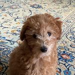 Kevin Weadock - @kevinweadock - Instagram