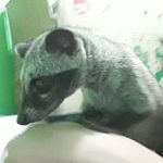 kevin _weasel - @kevin_weasel - Instagram