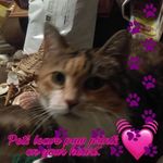 Kevin Wease - @kevinwease - Instagram