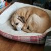 Kevin Wease - @kevin.wease - TikTok