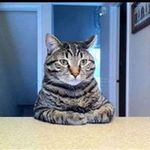 Kevin Wegener - @kevco329 - Instagram