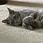 Kevin Weinert - @kdweinert.writes - Instagram