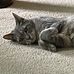 Kevin Weinert - Facebook