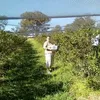 kevinweinert979 - @kevinweinert979 - TikTok