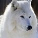 Kevin Whitely - Facebook