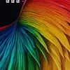 Kevin Whitted - @kevin.whitted3 - TikTok