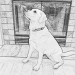 Kevin Widener - @polarkevin76 - Instagram