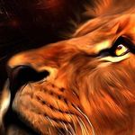 Kevin Michael Widener - @superhero_kevin - Instagram