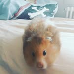 kevin widmer - @kevinwidm - Instagram